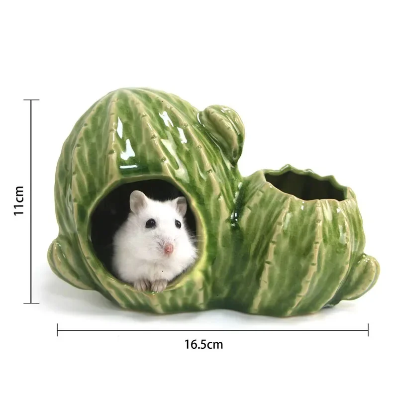 Casa de Cerâmica Cacto para Hamster, Rato e Pequenos Animais - Imagem 5