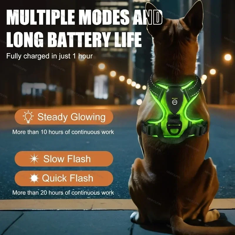 Arnês LED para Cães Recarregável com Faixa Refletiva para Passeio Noturno - Imagem 2