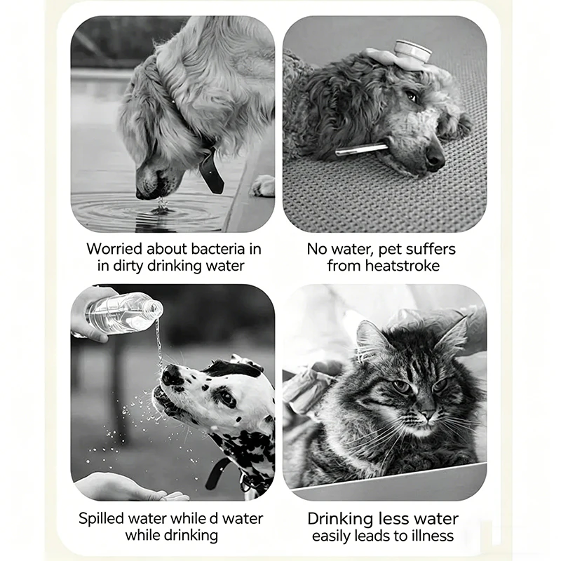 Tigela Portátil para Cães e Gatos Dobrável com Garrafa Intercambiável - Imagem 4
