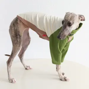 camiseta de algodão para whippet