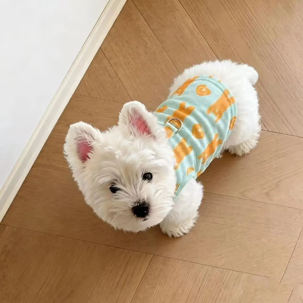 Roupa de Verão para Cães com Chapéu, Proteção Solar Respirável - Image 4