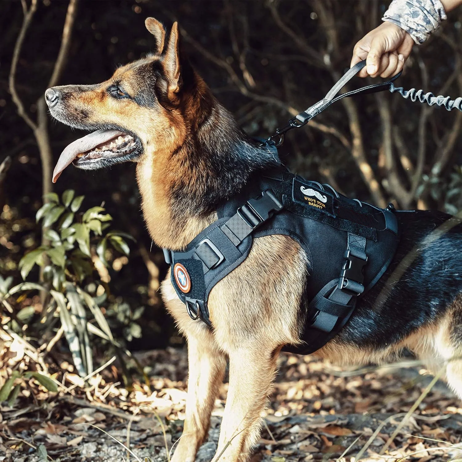 Arnês Tático para Cães com Alça Ajustável para Passeio - Imagem 6
