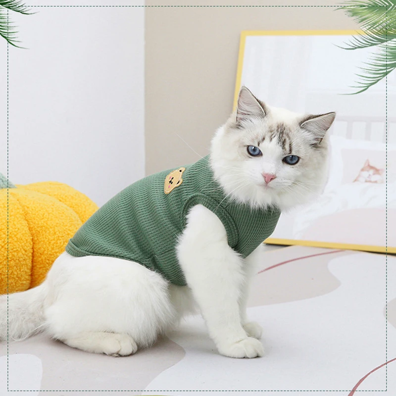 colete estampado urso para cães e gatos