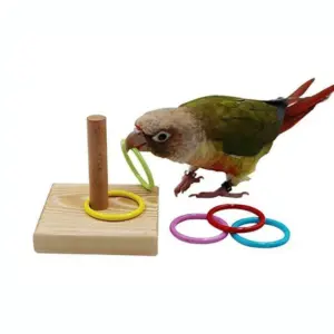 brinquedo de anel para pássaros