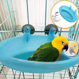 banheira para pássaros com espelho