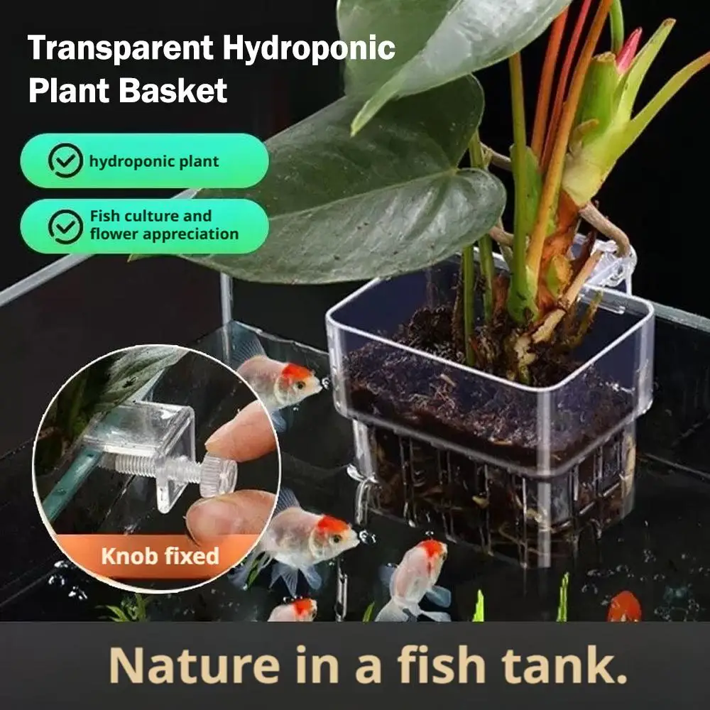 Suporte de Planta para Aquário Transparente 8 cm com Visão da Raiz - Imagem 3