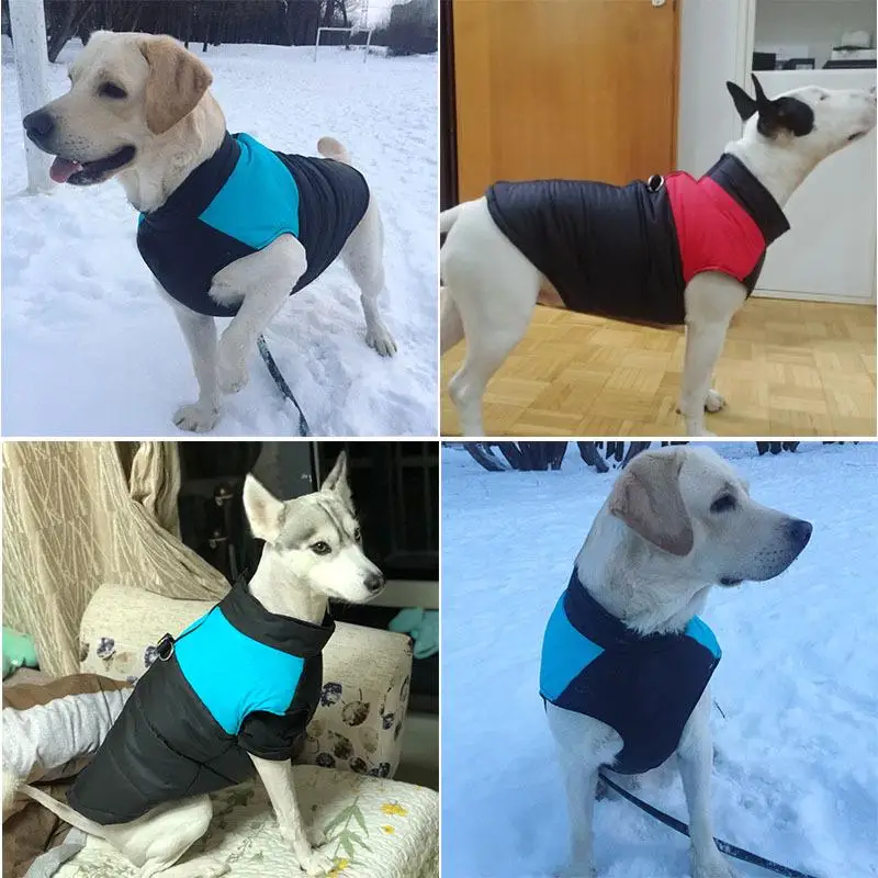 Jaqueta Impermeável para Cães Pequenos e Grandes com Zíper - Image 2
