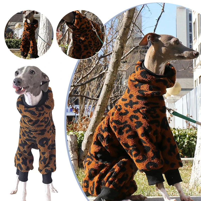 Macacão de Pelúcia para Cães Whippet com Gola Alta e 4 Patas - Image 3