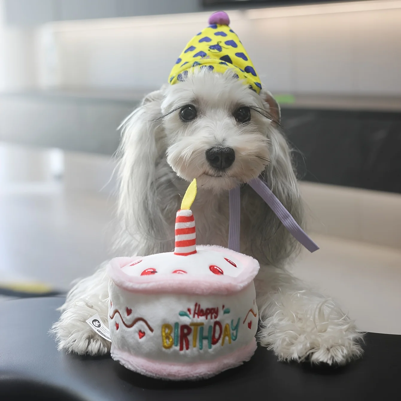 Brinquedo de Pelúcia para Pets Bolo de Aniversário Rosa 13,5 cm com Som - Image 4