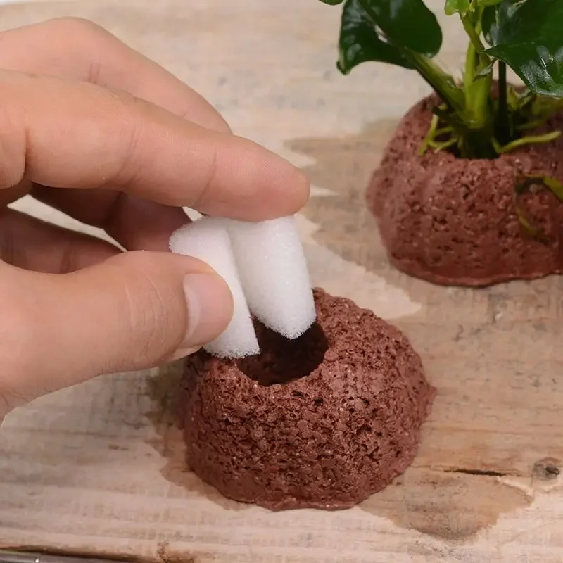 Anel de Cerâmica para Plantas de Aquário com Peso para Submergir - Imagem 5