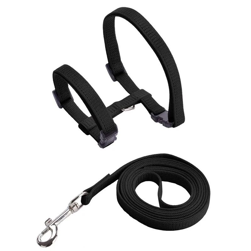 Coleira Peitoral H para Gatos Ajustável de Nylon com Guia de 120 cm - Imagem 6