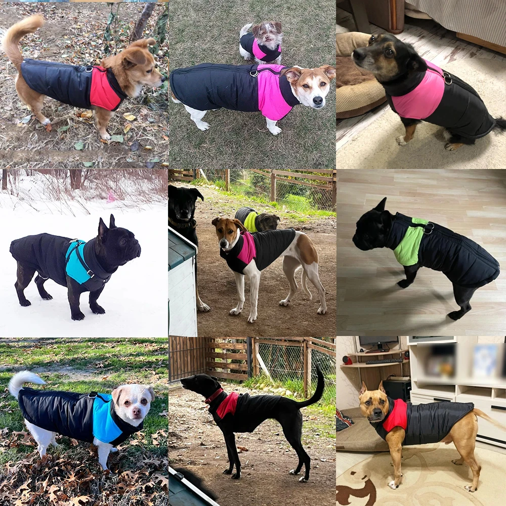 Jaqueta para Cães de Inverno Quente com Zíper e Argola D - Imagem 5