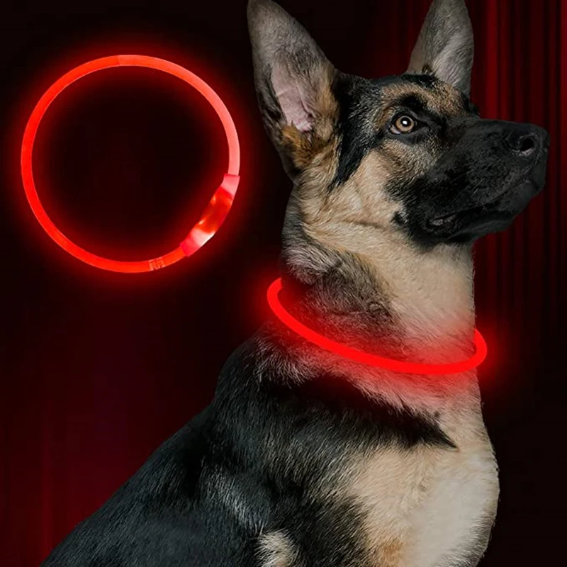 Coleira LED para Cães USB Recarregável 50 cm Amarela para Passeio Noturno - Imagem 2