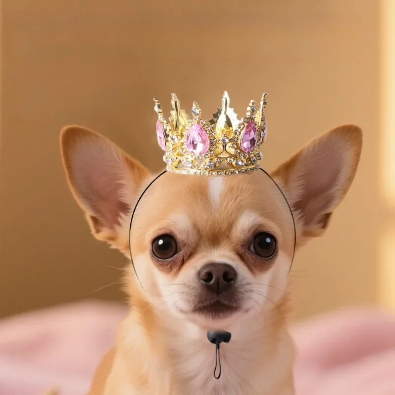 coroa bandana para gatos e cães pequenos