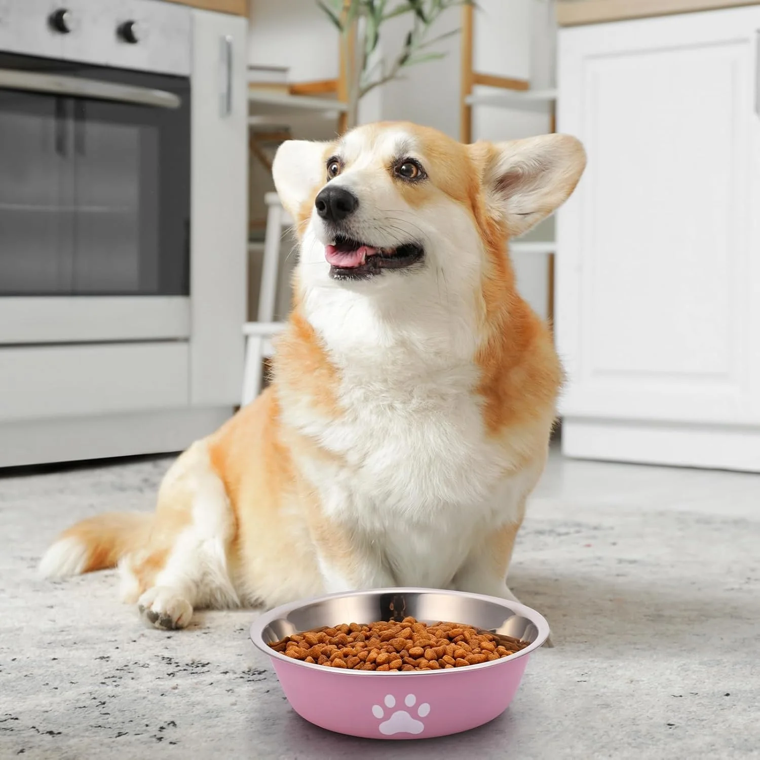 Tigela para Cães e Gatos de Aço Inoxidável com Base Antiderrapante - Imagem 4