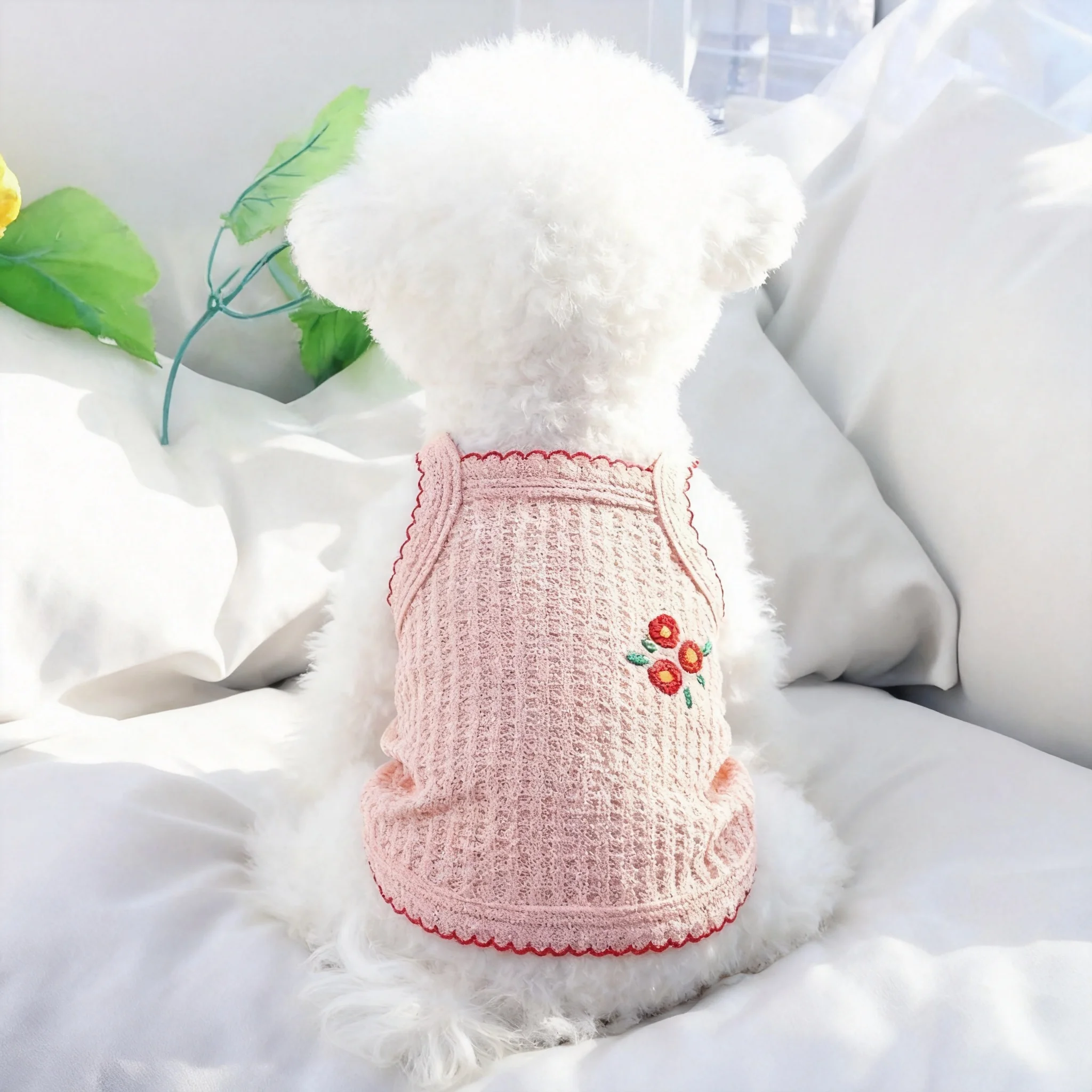 roupa de verão para cães pequenos