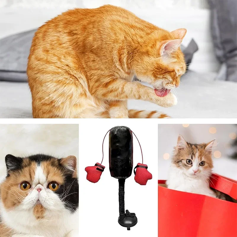 Brinquedo de Boxe para Gatos com Ventosa Fixa em Superfície Lisa - Imagem 2