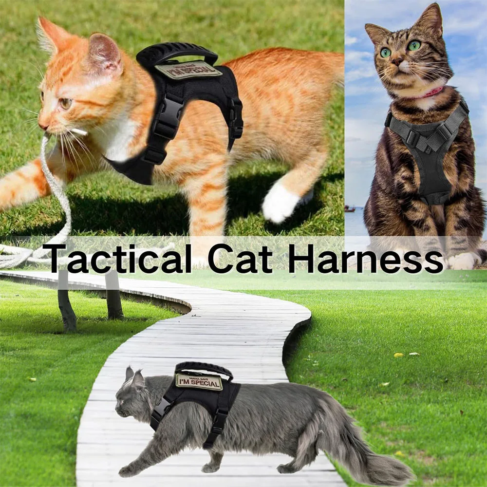 Coleira Tática para Cães e Gatos de Treinamento Ajustável - Imagem 5