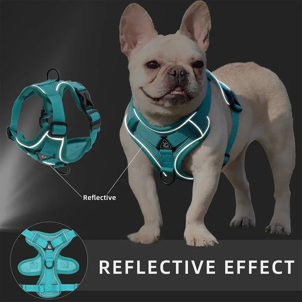 Coleira Peitoral para Cães Pequenos Ajustável com Faixa Refletiva - Image 5