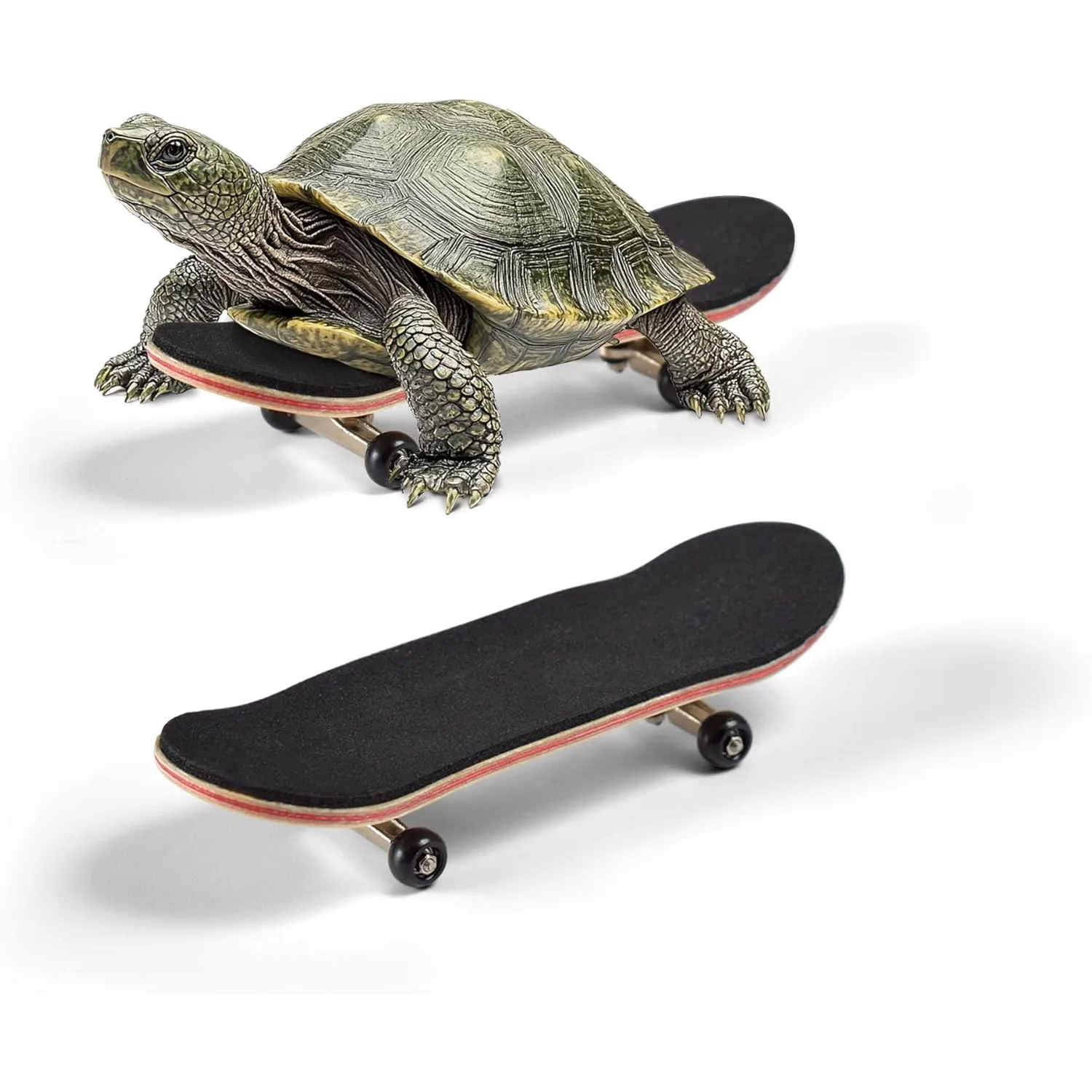 mini skate para tartarugas