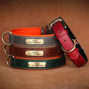 coleira de couro para cães com placa de identificação