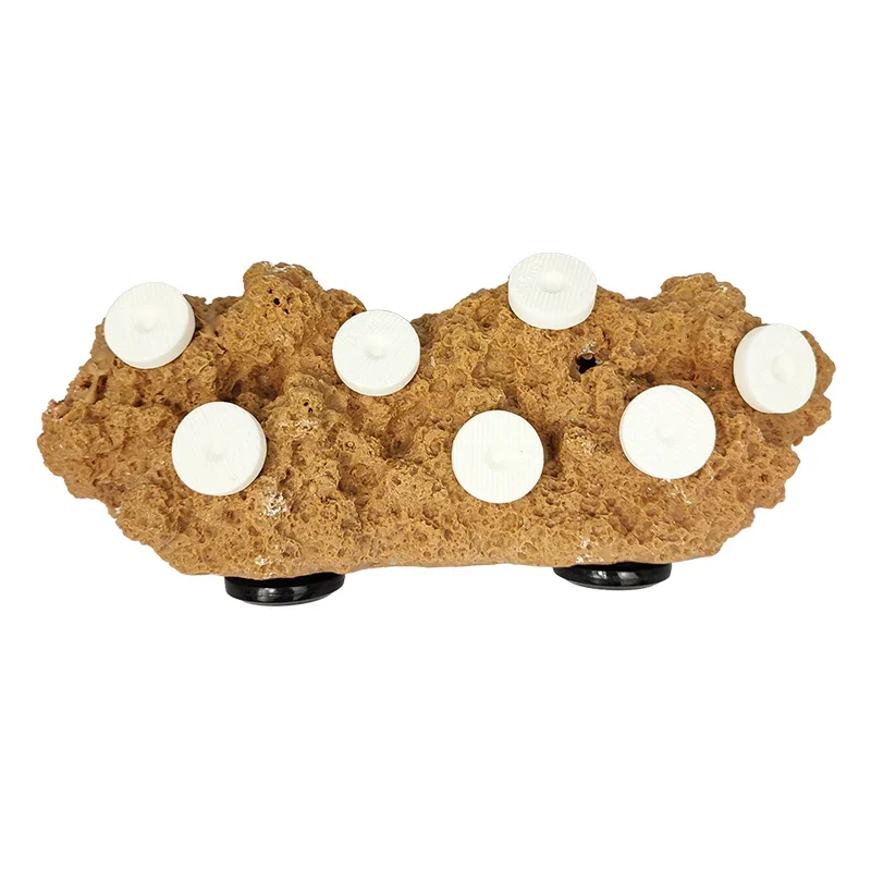 Reefing Art Rack Magnético para Aquário de Vidro até 1,27 cm - Imagem 4