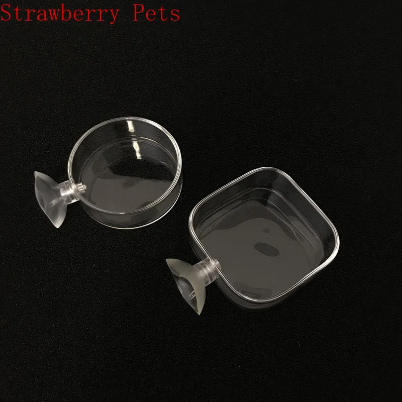 Alimentador de Vidro para Camarão de Aquário Transparente Flutuante - Imagem 4