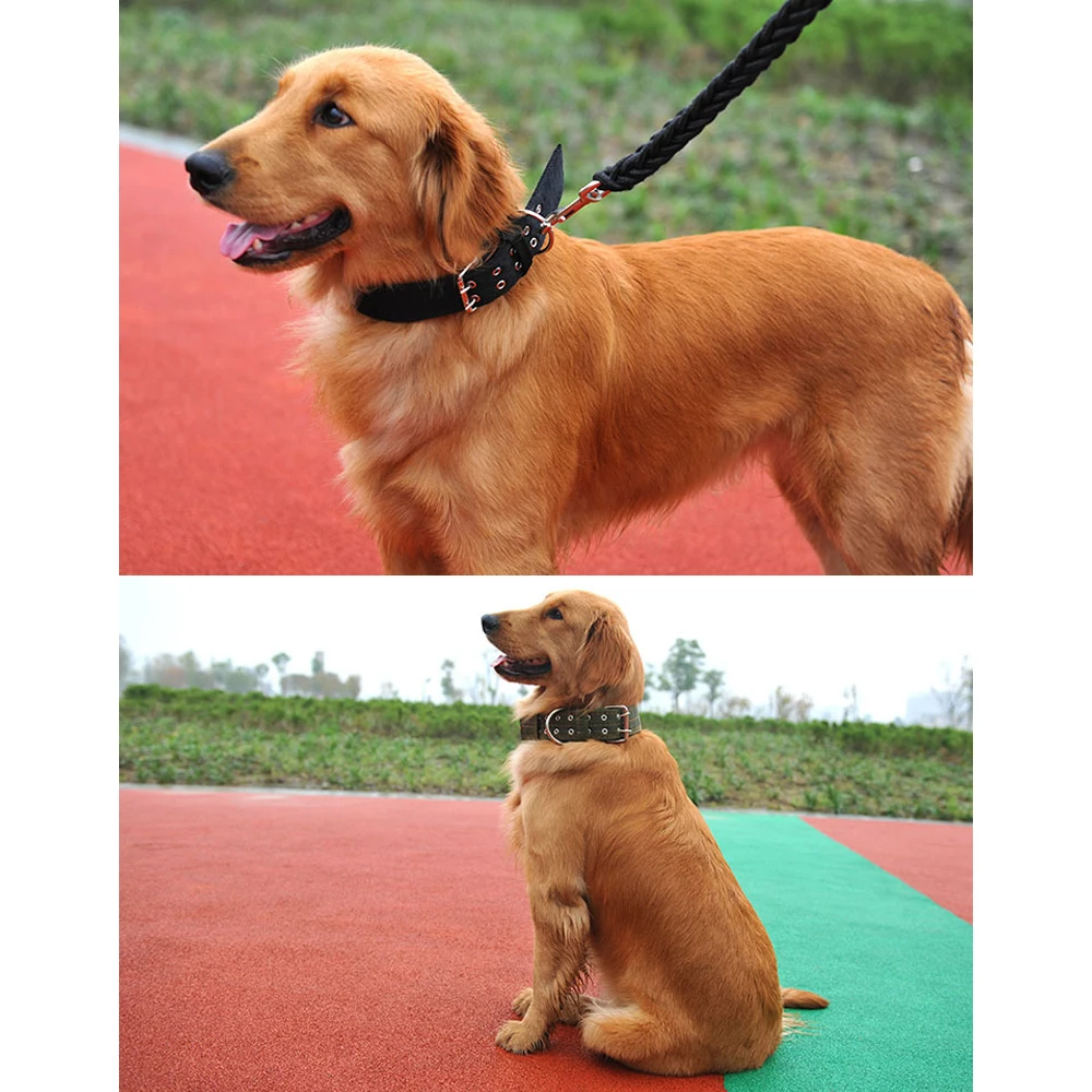 Coleira Militar para Cães Grandes de Nylon com Fivela de Metal Ajustável - Imagem 5
