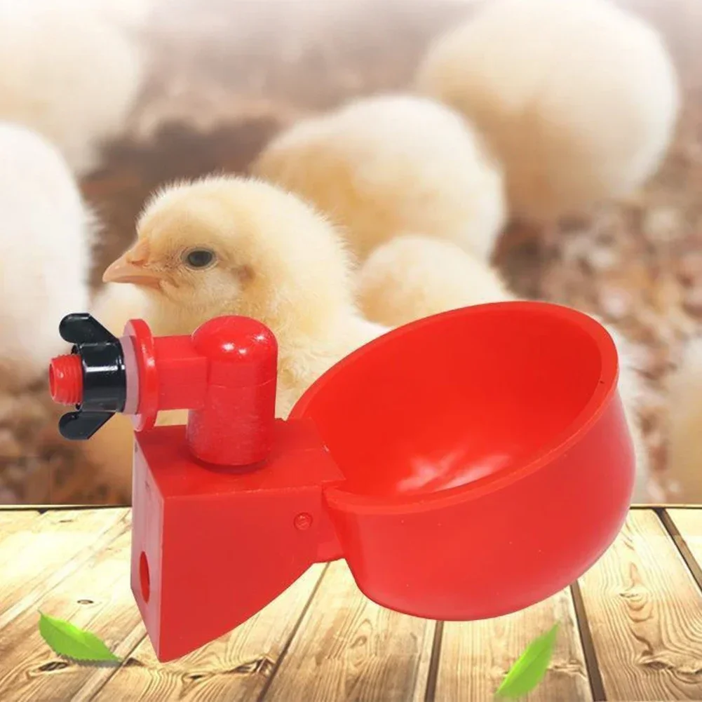 Bebedouro Automático para Aves Anti-Poluição 10,5x4cm - Imagem 3