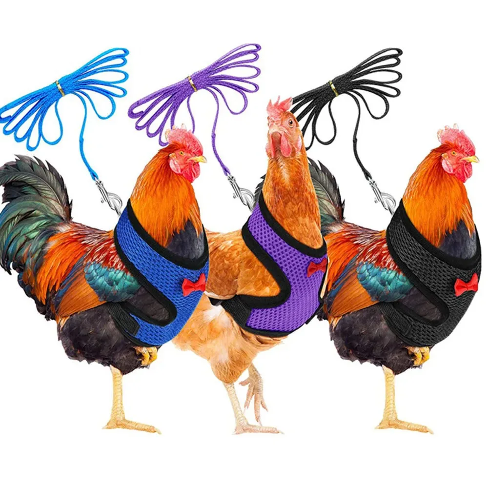 Colete para Aves Poliéster Ajustável M para Peito de 37,8 a 47,8 cm - Imagem 6