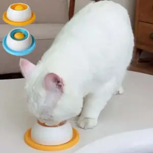 tigela de comida para gatos e cães com água