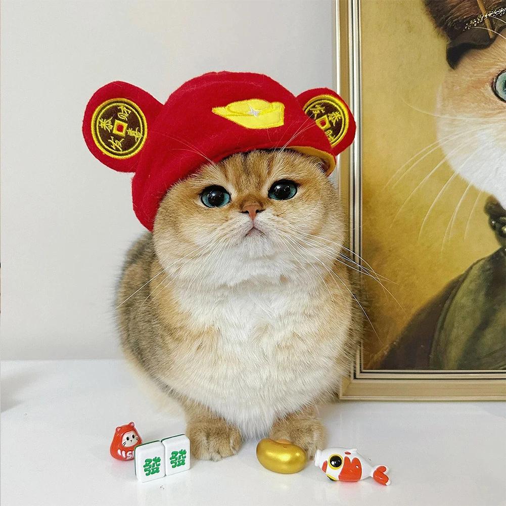 Chapéu de Pelúcia para Gatos e Cães Pequenos para Festa - Imagem 6