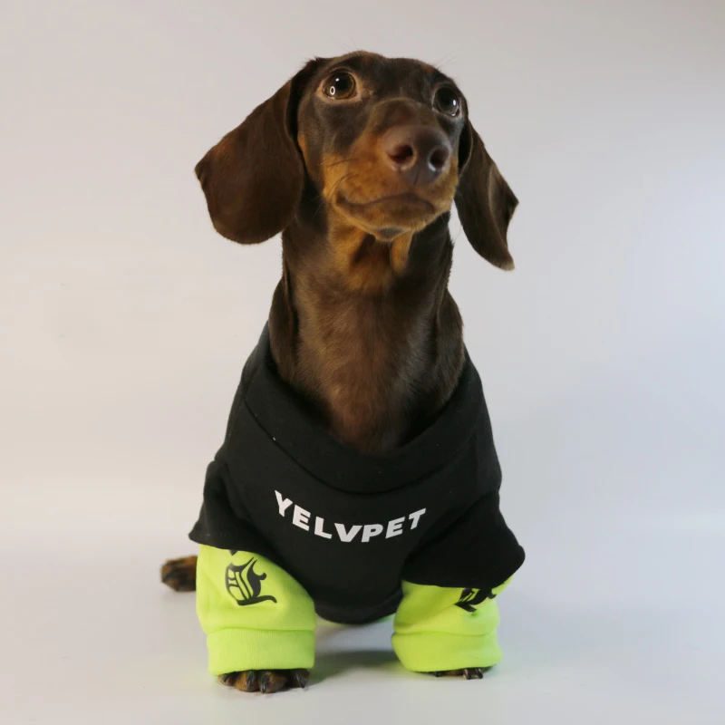 Roupa para Cães de Lã para Outono e Inverno - Imagem 2