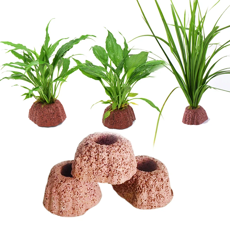 copo para plantas de aquário