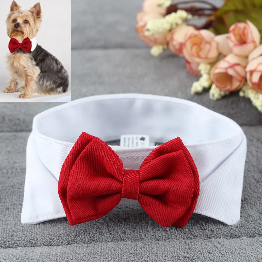 Gravata Borboleta para Cães e Gatos Ajustável para Festas e Eventos - Imagem 3