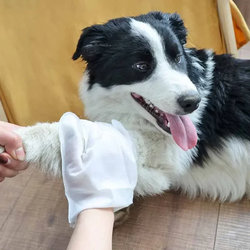 Luva Descartável para Banho de Gatos e Cães sem Enxágue 6 Peças - Imagem 2