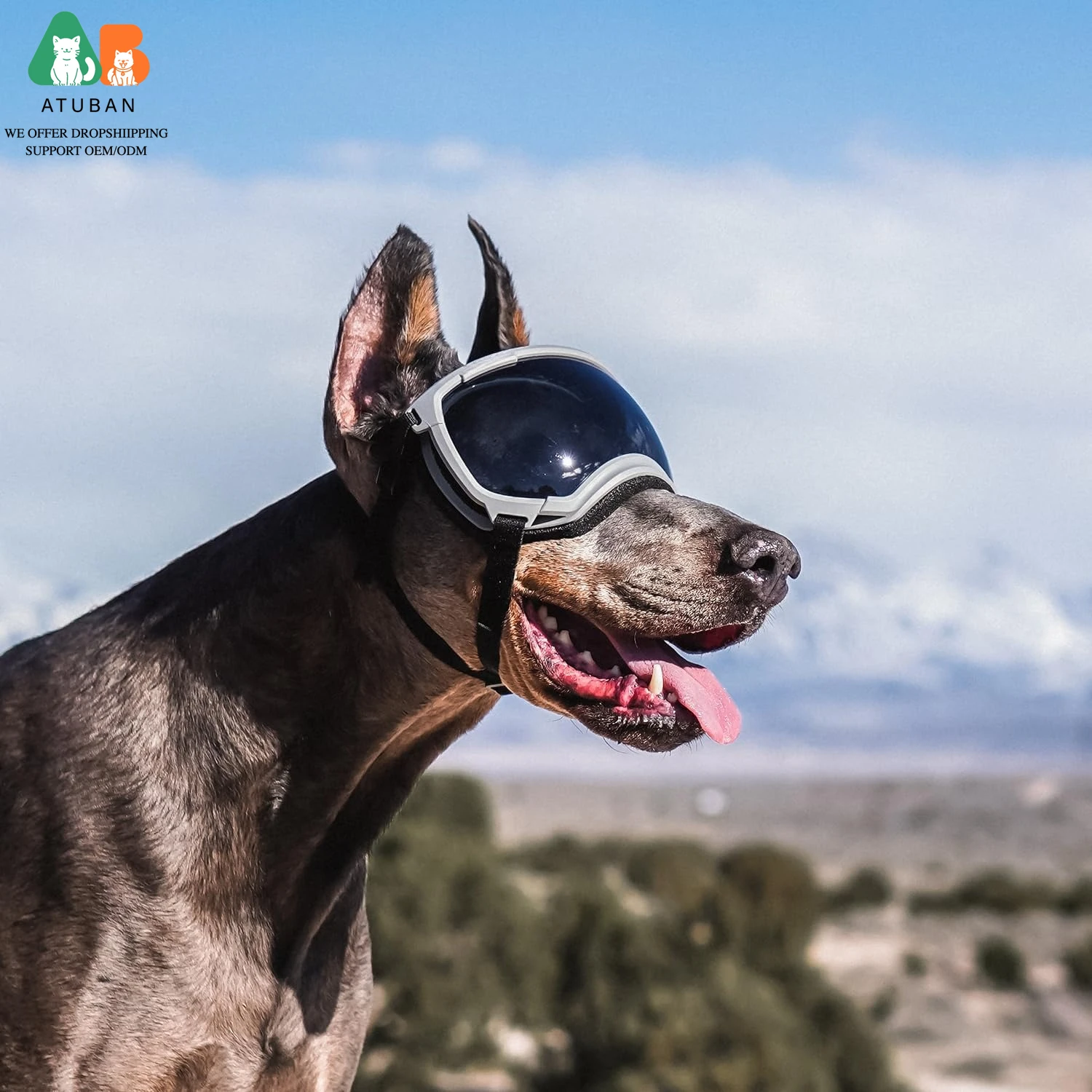 Óculos de Sol para Cães com Proteção UV e Alça Ajustável - Imagem 3