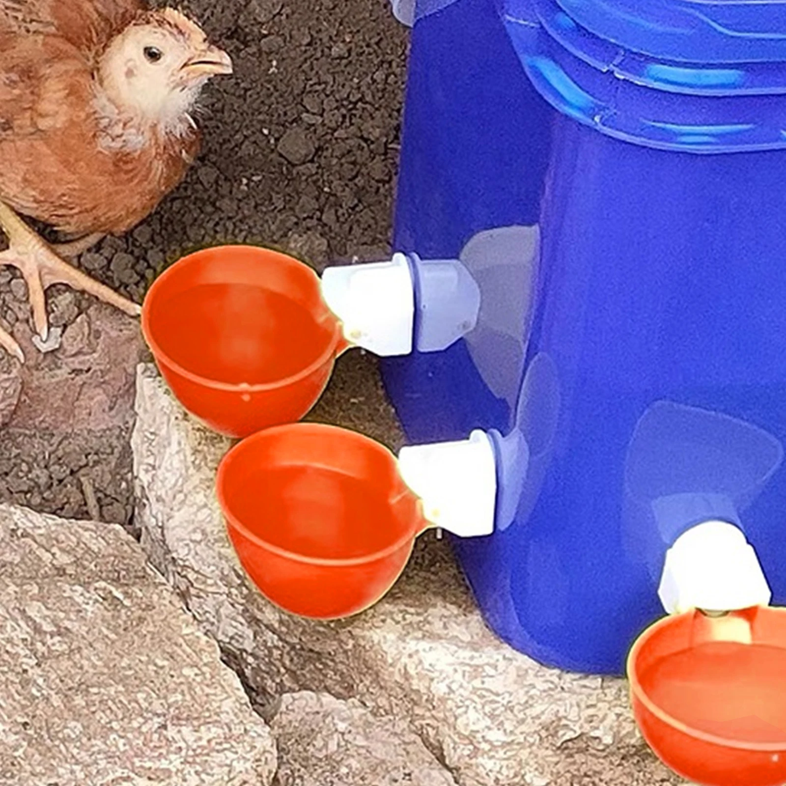 Bebedouro Automático para Aves com 8 Saídas e Balde 10 L - Imagem 6