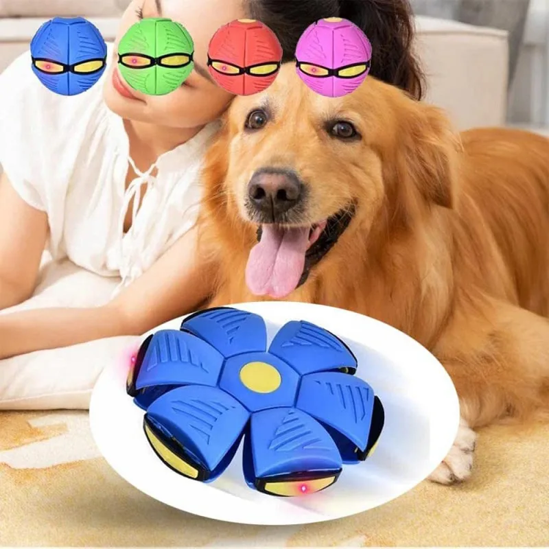 Brinquedo para Cães Bola Disco Voador Deformável para Brincadeiras - Imagem 4