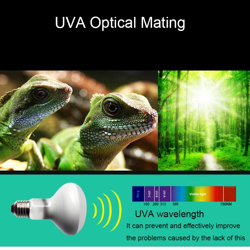 Lâmpada Réptil UVA UVB 25W para Aquecimento de Anfíbios e Lagartos - Imagem 3