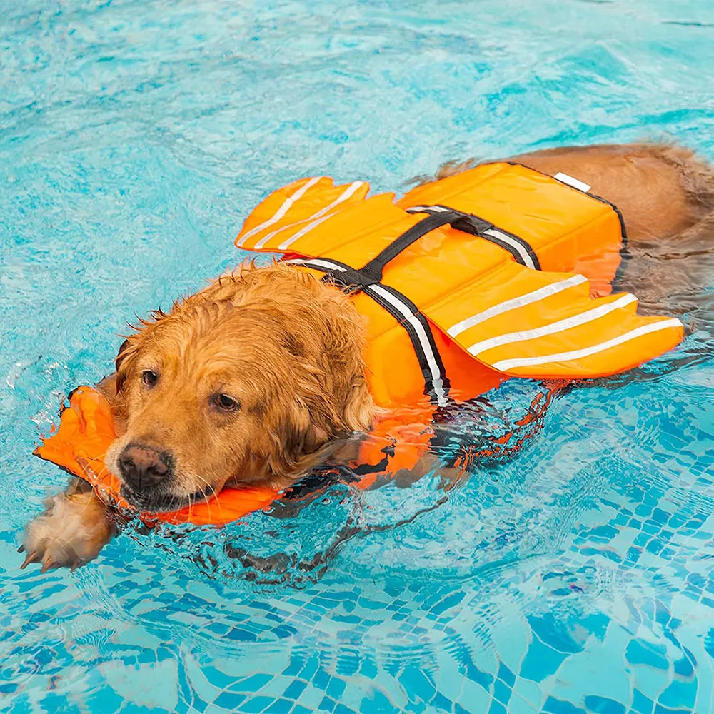 colete salva-vidas para cães com alça