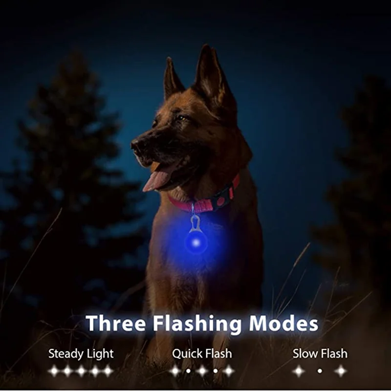 Pingente LED para Cães Recarregável USB com Luz Noturna - Imagem 3