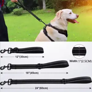 coleira de treinamento para cães grandes refletiva