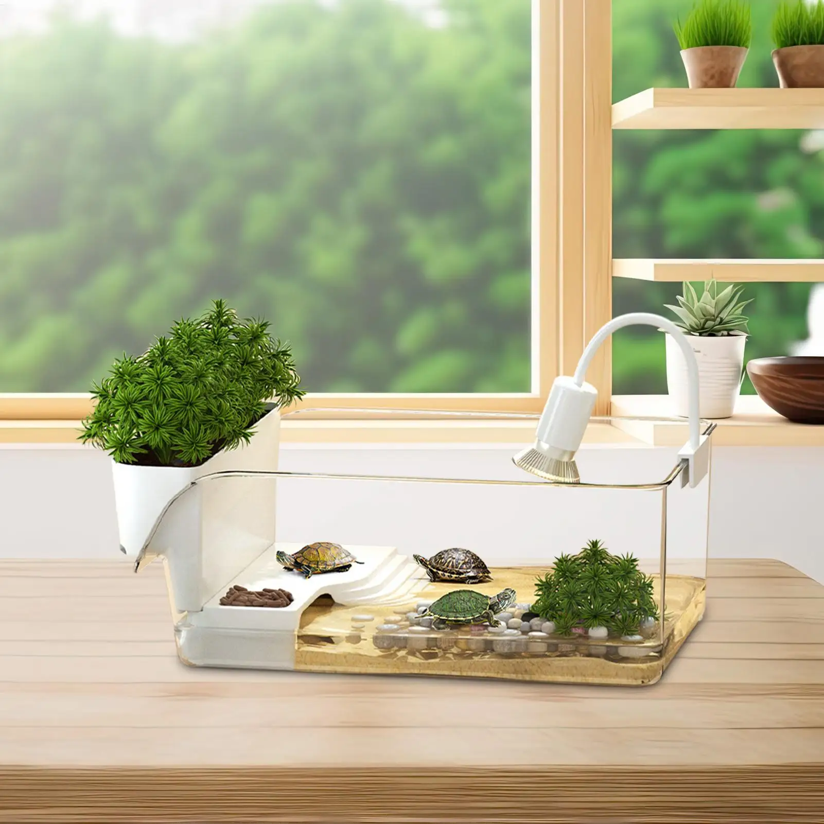 Tanque Terrário para Tartarugas com Área de Sol Transparente - Imagem 5