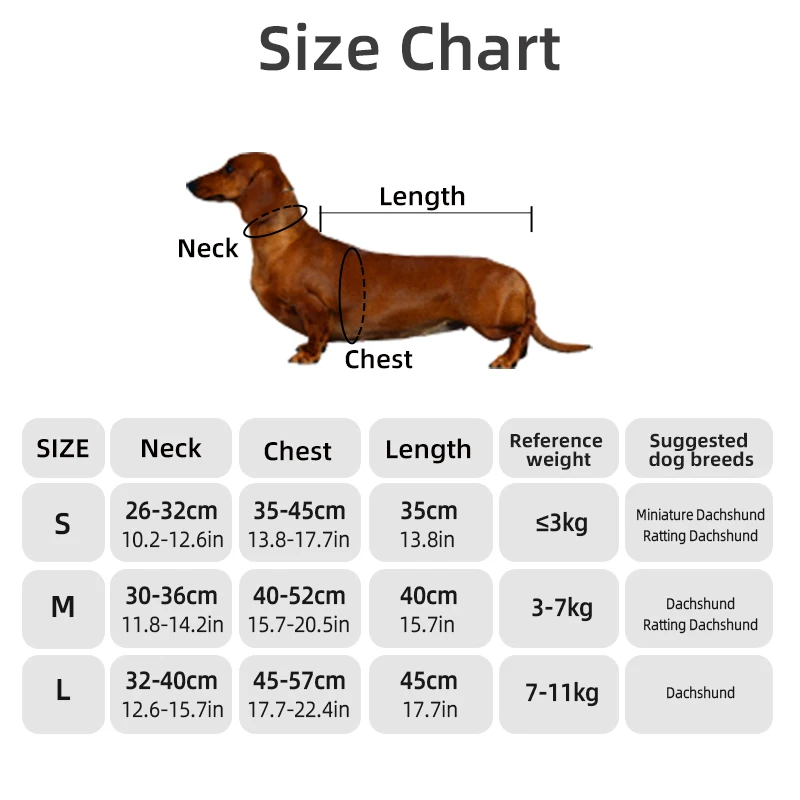 Jaqueta para Cães Dachshund Acolchoada Repelente à Água - Imagem 2