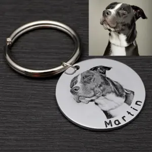 placa de identificação personalizada para cães