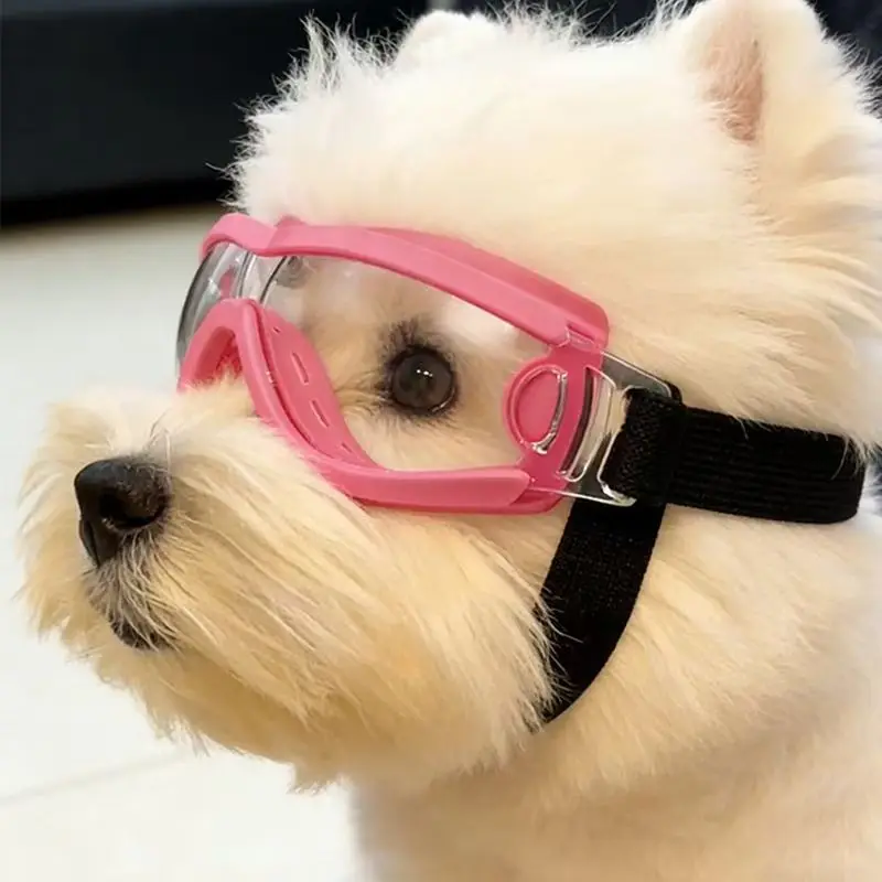 Óculos de Sol para Cães com Proteção UV e Lentes à Prova de Vento - Imagem 4