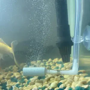 difusor de CO2 para aquário
