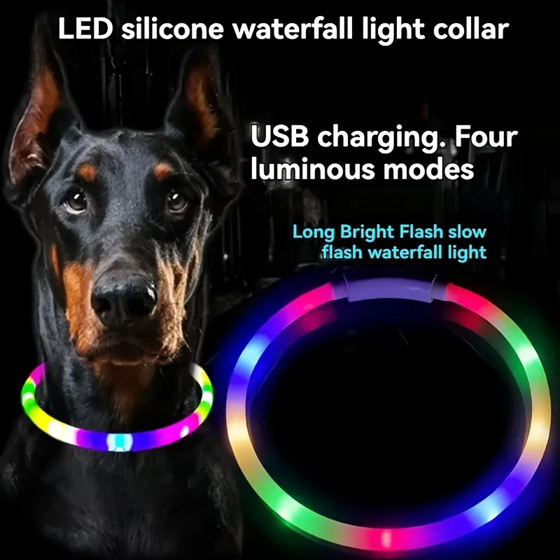 coleira LED recarregável para cães