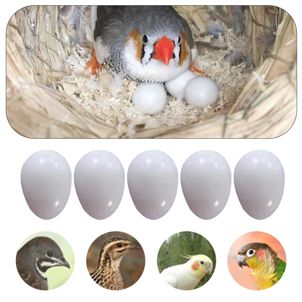 Ovos Falsos para Pássaros de Plástico Realistas Kit com 5 Peças - Imagem 4